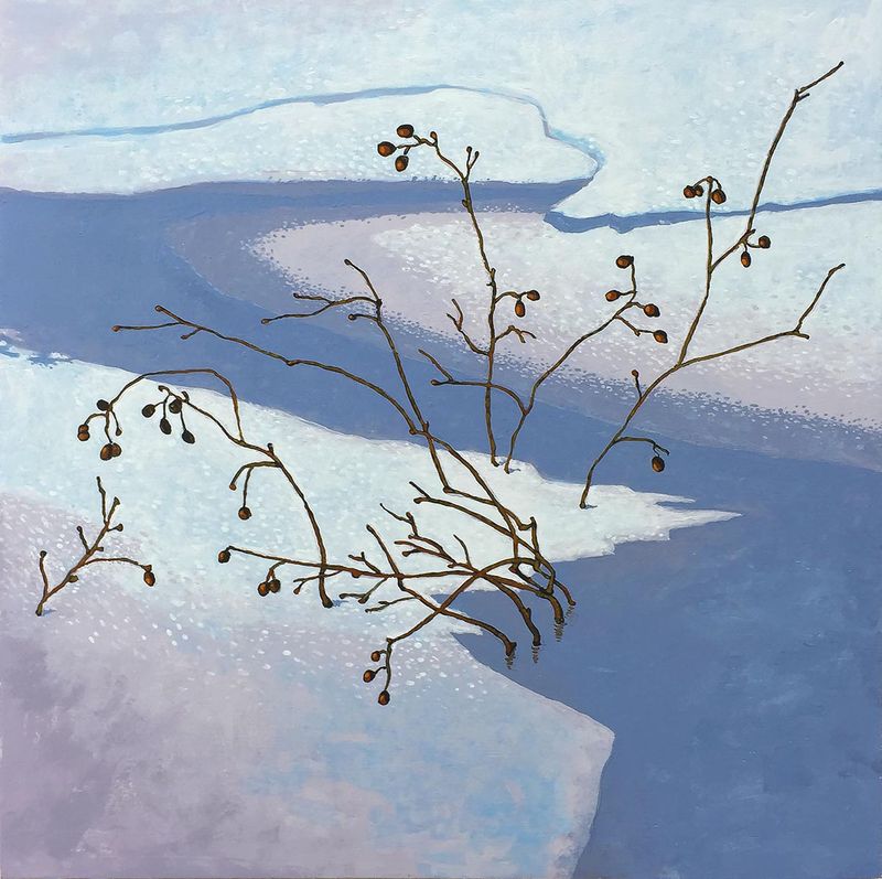 Frozen Berries