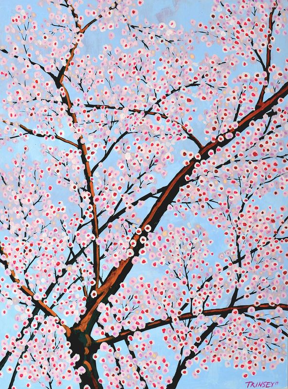 Pink Blossoms
